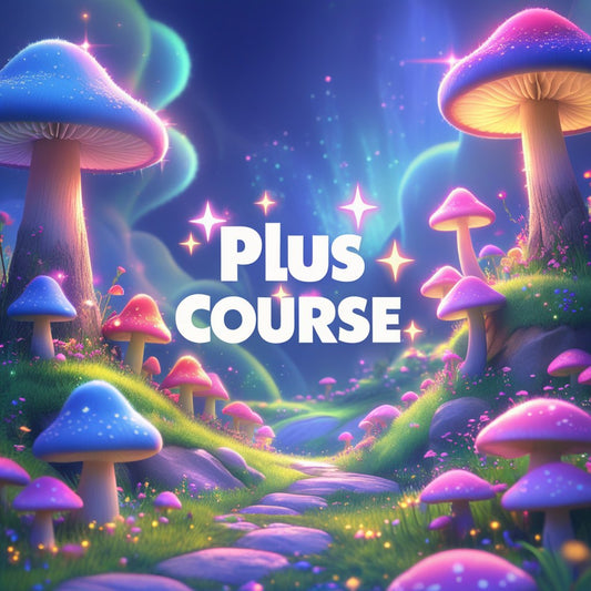 Plus Course